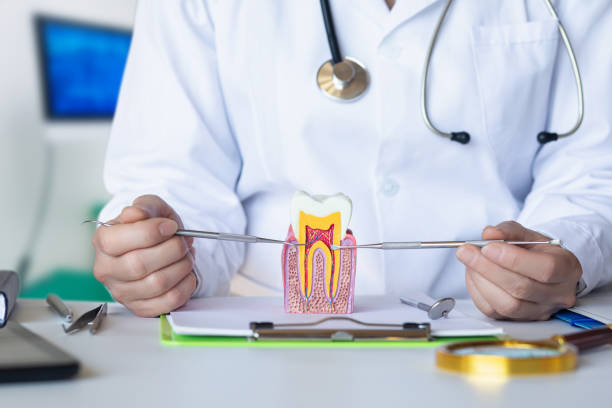 Best Mobile Emergency Dentist in Labarque Creek, MO